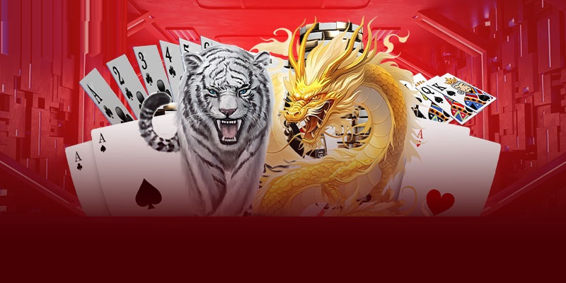 Nhiều điều cần chú ý khi quyết định tham gia cá cược Rồng Hổ AE888