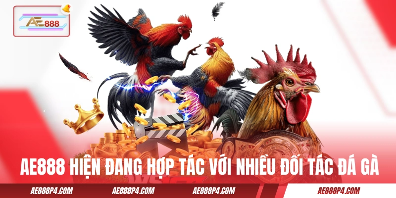 AE888 hiện đang hợp tác với nhiều đối tác đá gà